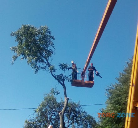 Спил дерева,демонтаж работы,земляные работы в ручную Одеса Одесса - изображение 1