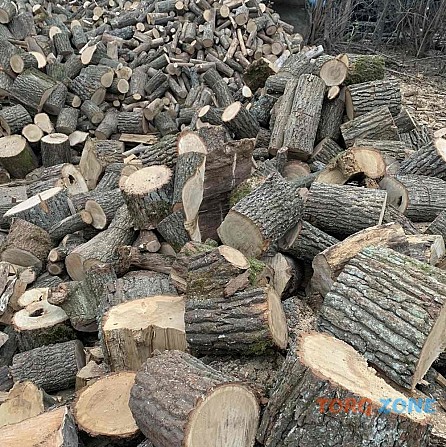Продам дрова твердих порід дерева дуб, граб, ясень Ровно - изображение 1