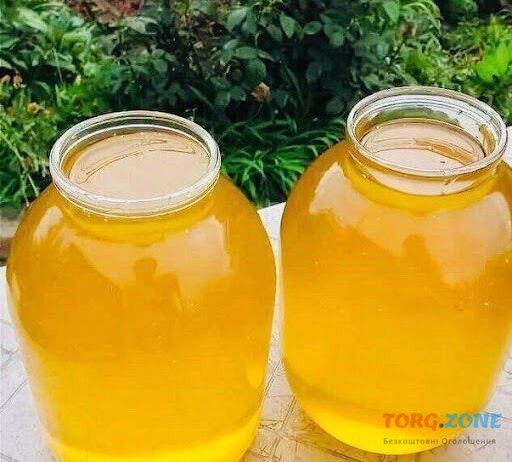 Продам свежий мёд со своей пасеки, урожай 2023 года. Разнотравье Луганськ - зображення 1