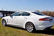124 Jaguar XF белый 2014 аренда авто Киев