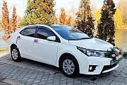 170 Toyota Corolla аренда авто Киев