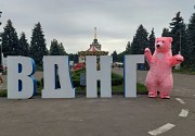 Поздравление Огромнного Розового Мишки 2.6 метра Киев и Киевская область. Київ