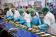 Робота в Словаччині на хлібокомбінаті, зарплата 1200 Євро на місяць Кременчук