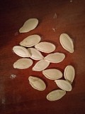 Гарбузове насіння Снятин