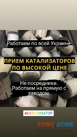 Выкуп катализаторов Киев Київ - зображення 1