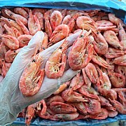Морепродукти в Києві: ікра, креветки, риба, молюски та інше від Seafood Ukraine Киев