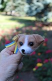 Пес Патрон брошь игрушка собака светлее валяная из шерсти ручной работы интерьерная песик игрушка Одесса