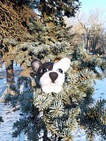 Французский бульдог собака игрушка валяная из шерсти интерьерная песик ручная работа пес собака пес Одеса