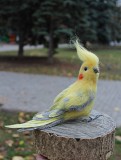 Игрушка корелла птица валяная з вовни попугай хендмэйд сувенир интерьерная іграшка валяна подарок Одеса