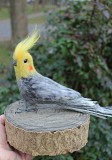 Корелла попугай валяная игрушка хендмэйд папуга сувенир интерьерная птица из шерсти валяная подарок Одеса