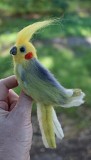 Попугай брошь клюв слева валяная игрушка корелла из шерсти сувенир прикраса интерьерная птица папуга Одеса