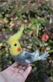 Серый корелла попугай игрушка валяная из шерсти интерьерная сувенир подарок птица папугай іграшка Одеса