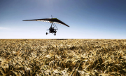 Дельтаплани для захисту пшениці від шкідників Кропивницький