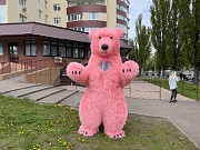 Костюм медведя розовый Киев