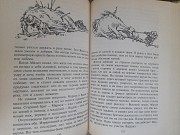 Андрей Саломатов Цицерон и боги Зеленой планеты фантастика замок чудес Запорожье