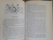 Гарри Килворт Киберкошки фантастика замок чудес Запорожье