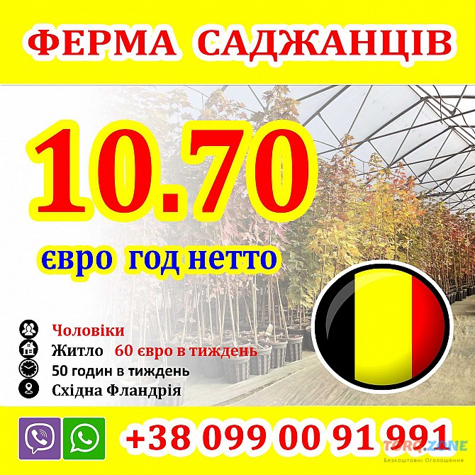 Вакансії В Бельгії - Везем НА Місце Роботи З України ТА Польщі Киев - изображение 1