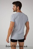 Чоловіча сіра спортивна футболка "basic" (арт. MBSK 500/01/06) Кривий Ріг