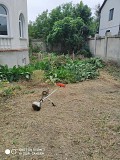 Добросовестно покосим траву, уборка участка, вспашка огорода Одесса