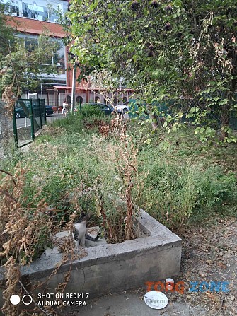 Добросовестно покосим траву, уборка участка, вспашка огорода Одеса - зображення 1