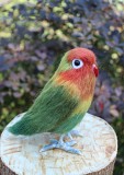 Неразлучник попугай валяна іграшка з шерсті папуга інтерєрна игрушка на заказ птица подарок сувенир Одеса