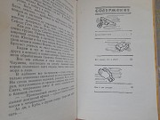 В. Дружинин Тропа Селим-хана 1963 бпнф библиотека приключений фантастики Запорожье