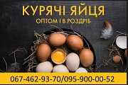 Яйця курячі столові різних категорій від виробника Лохвица