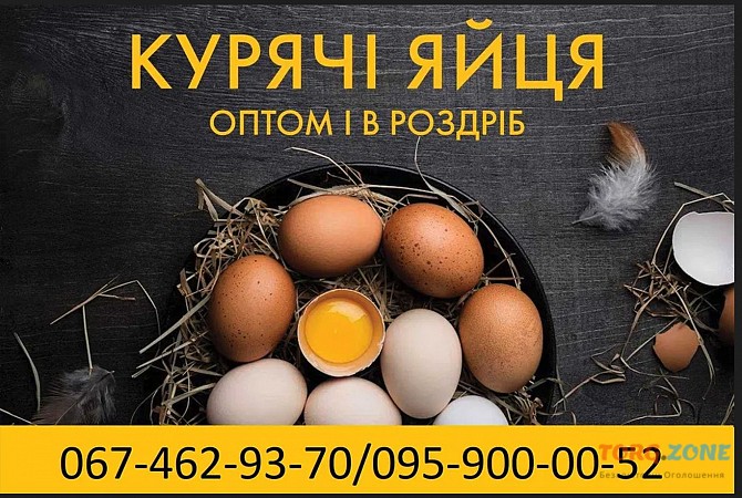 Яйця курячі столові різних категорій від виробника Лохвица - изображение 1
