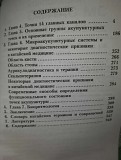 Книга "восточная медицина" В.И. Здыбский, С.С. Щербаков (2-я часть) доставка из г.Харьков