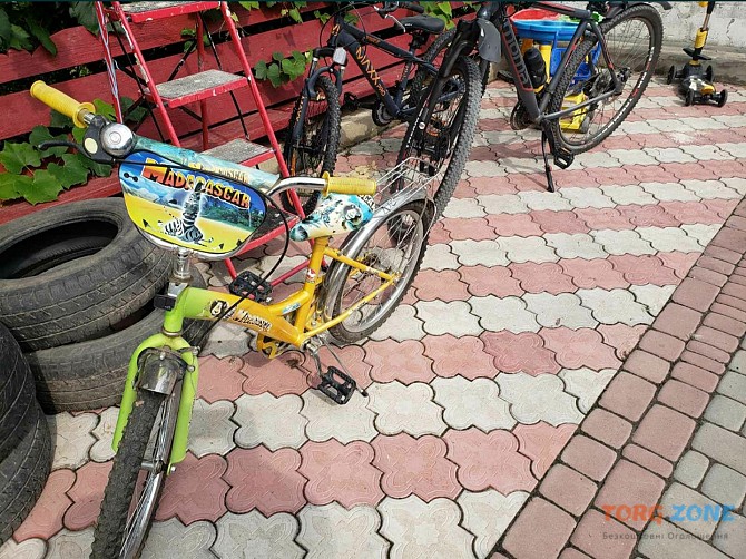 Велосипед дитячий мадагаскар Кам'янець-Подільський - зображення 1