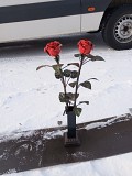Ковані троянди лілії доставка із м.Ніжин