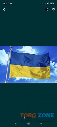 Прапор України Борислав - изображение 1