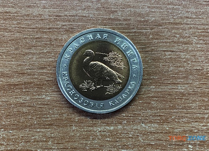 Россия 10 рублей, 1992 Краснозобая казарка Хмельницкий - изображение 1