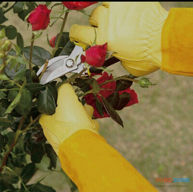 Рукавички для обрізання троянд та колючих рослин Полтава - зображення 1