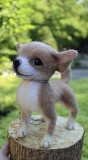 Чихуахуа валяна іграшка собака інтерєрна реалістична мініатюра пес валяние ручна робота Одеса