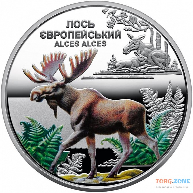 Чорнобиль. Відродження. Лось європейський. (В капсулі) - 5 гривень 2025р. Хмельницкий - изображение 1