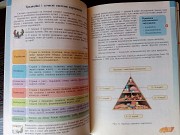 Основи здоров'я. 8 клас. Львів