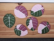 Alocasia Black Velvet, набір підставок Днепр