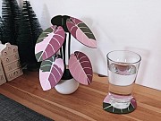 Alocasia Black Velvet, набір підставок Днепр