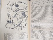 сборник Талисман БПНФ рамка библиотека приключений фантастика Запоріжжя