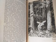 Леонид Леонов Русский лес 1956 Военная литература доставка из г.Запорожье