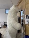 Начните продвижение с надувным костюмом белого медведя Київ