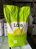 Продам насіння соняшника Lidea, Syngenta, Limagrain Полтава