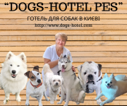 Готель для собак та котів - перетримка тварин в приватному будинку Киев