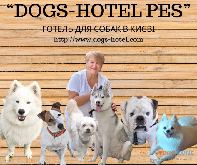 Готель для собак та котів - перетримка тварин в приватному будинку Киев - изображение 1