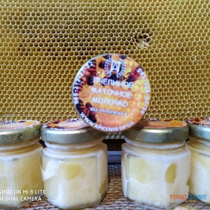 Пчелиное Маточное Молочко Дніпро - зображення 1